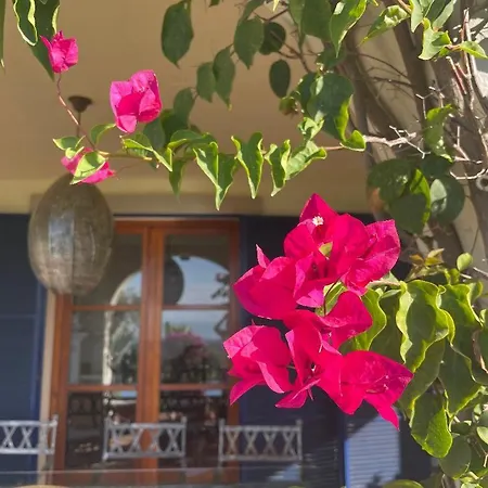 Bed and breakfast Boutique Maravilla - Marbella *