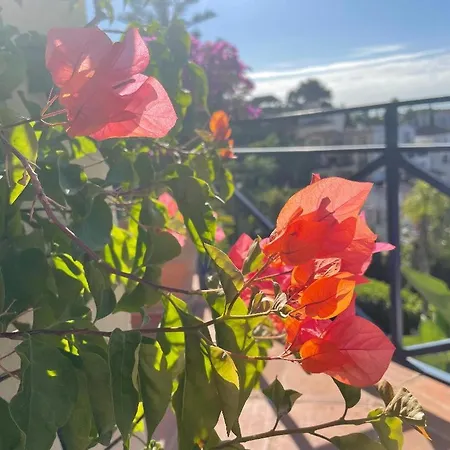 Bed and breakfast Boutique Maravilla - Marbella *