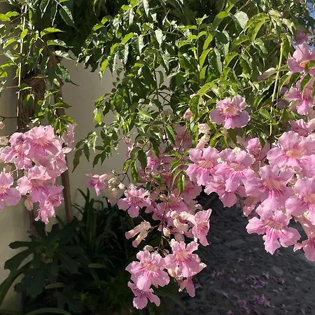 Boutique Maravilla - Marbella Bed and breakfast Benahavís
