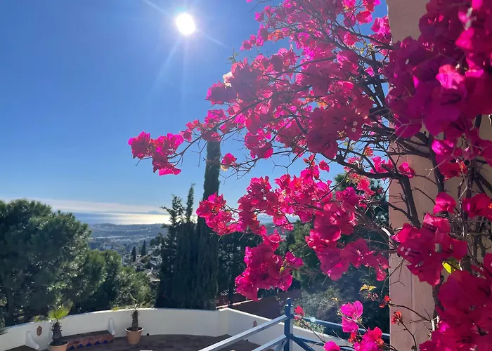 Boutique Maravilla - Marbella