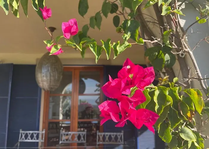 Couette-café Boutique Maravilla - Marbella 4*