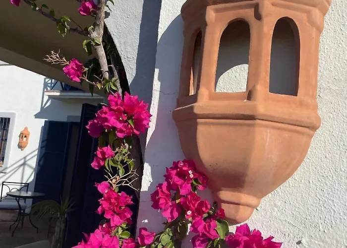 Boutique Maravilla - Marbella Couette-café